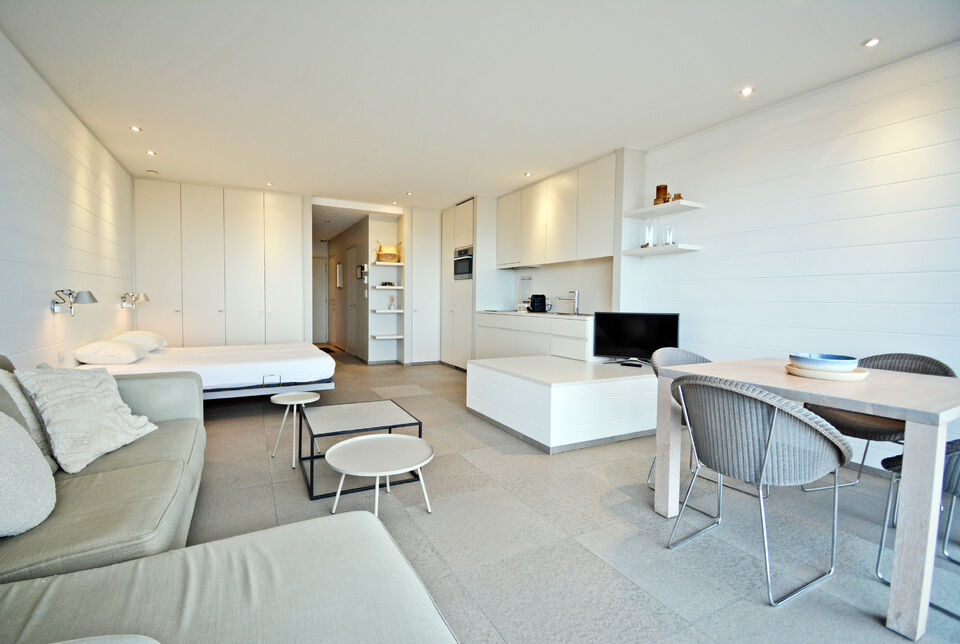 Studio &agrave; Duinbergen